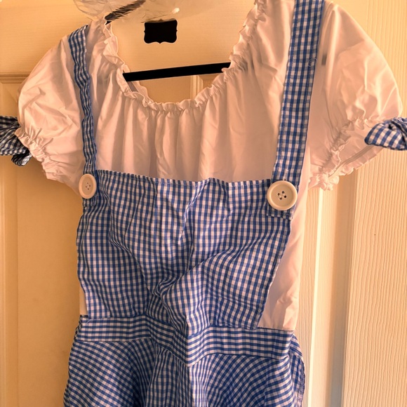 SOLD Dorothy Costume - Picture 4 of 12